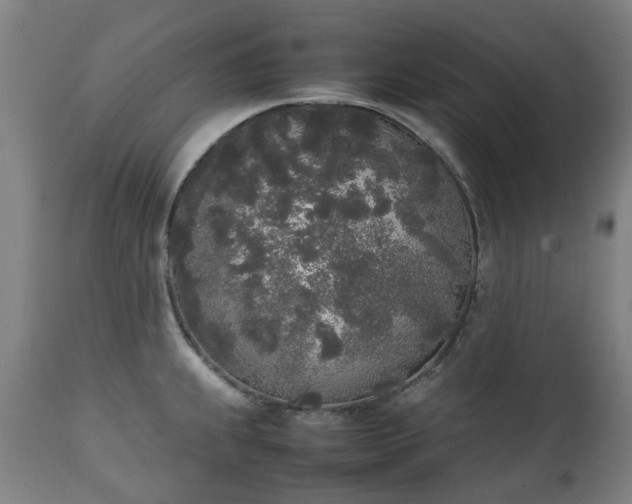 X0000111451239200907201041