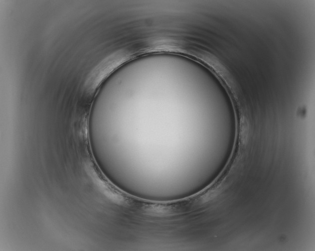 X0000111451241200907201041
