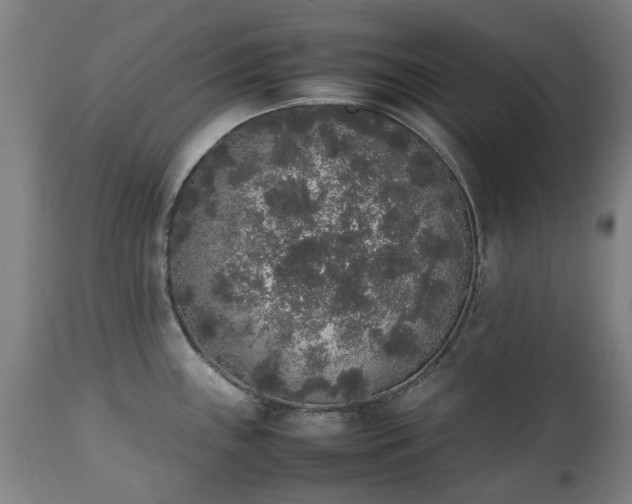 X0000111451243200907201041