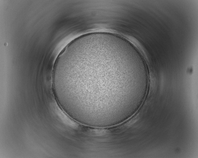 X0000111451244200907201041