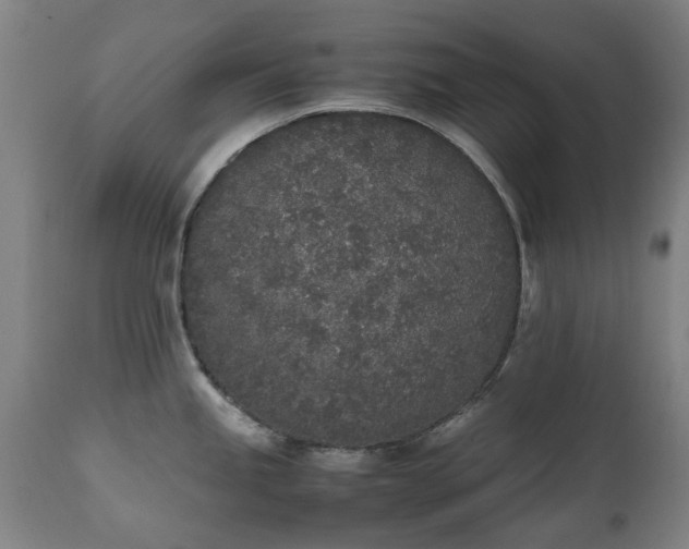X0000111451245200907201041