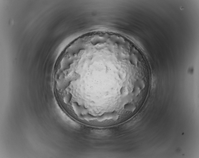 X0000111451247200907201041