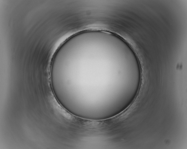 X0000111451248200907201041