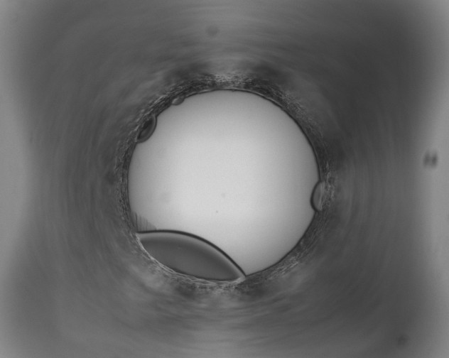 X0000111451249200907201040