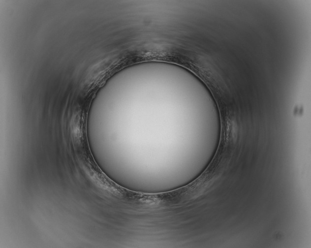 X0000111451250200907201040