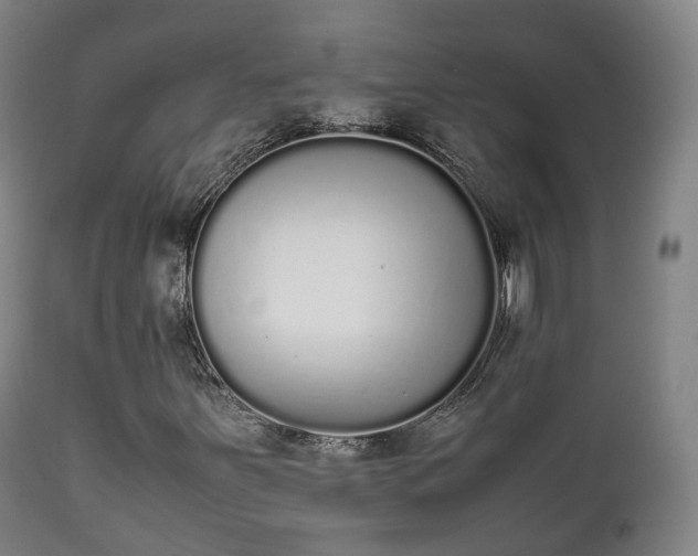 X0000111451251200907201040