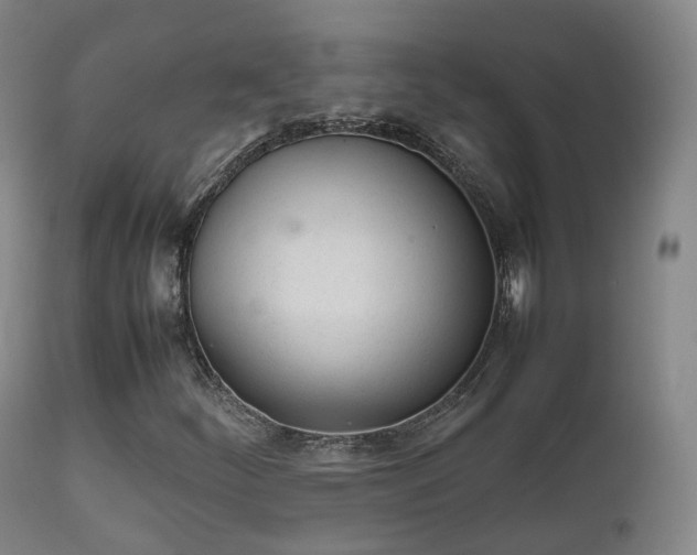 X0000111451252200907201040