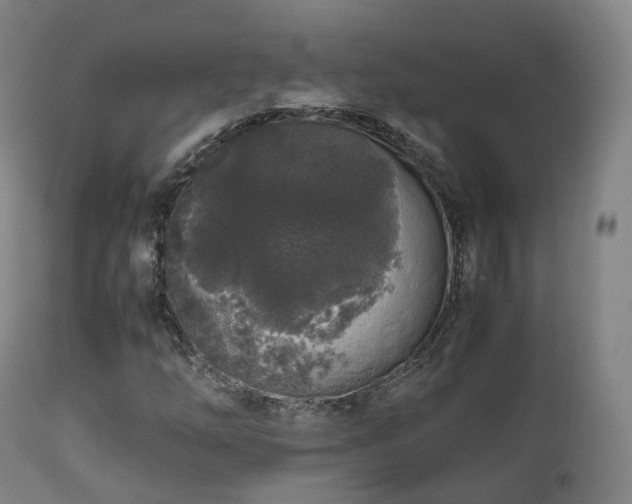 X0000111451254200907201040