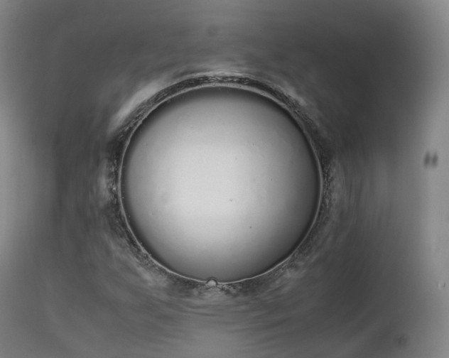 X0000111451255200907201040
