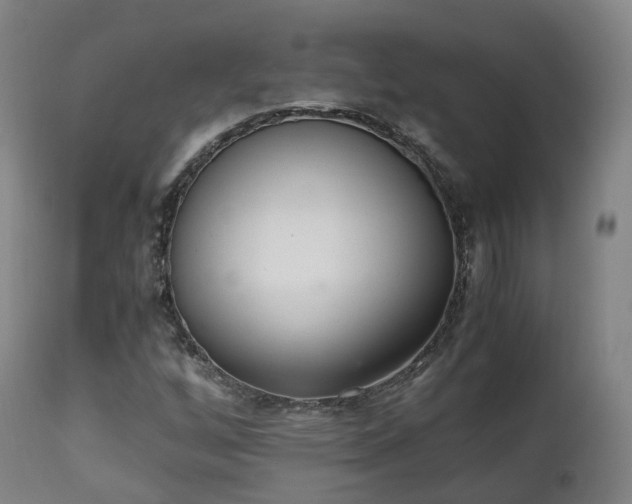X0000111451256200907201040
