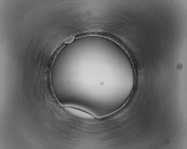X0000111451257200907201040