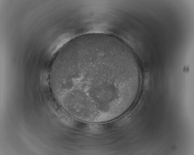 X0000111451258200907201040
