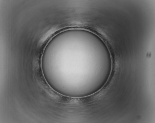 X0000111451259200907201040