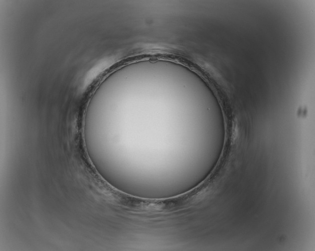 X0000111451261200907201040