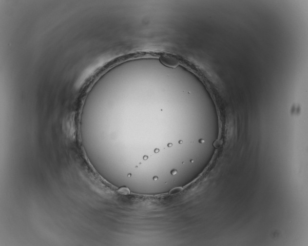 X0000111451262200907201040