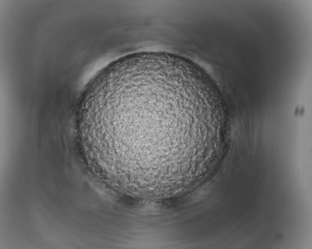 X0000111451263200907201040