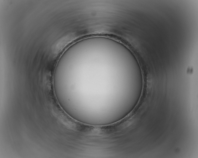 X0000111451265200907201040