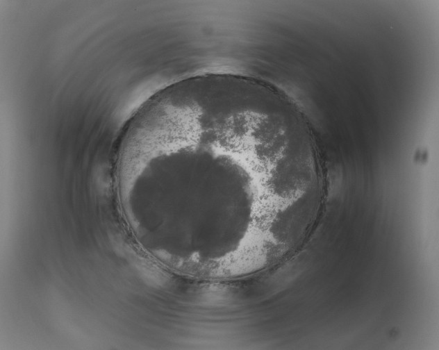 X0000111451266200907201040