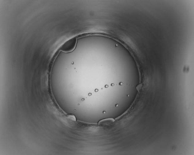 X0000111451268200907201040