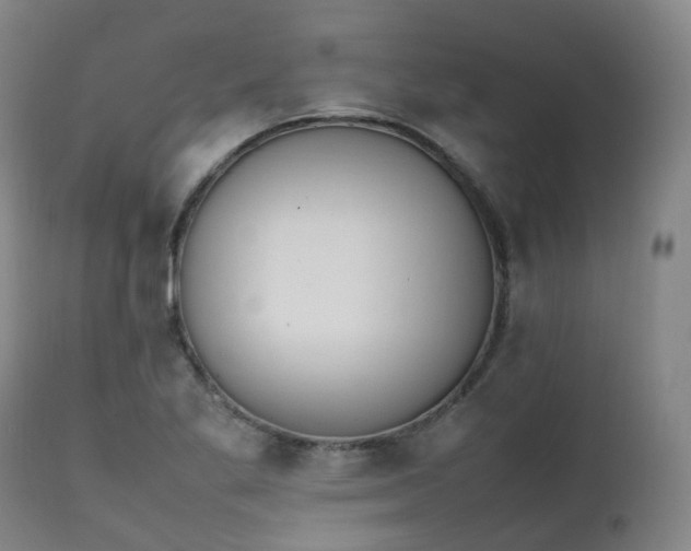 X0000111451269200907201040