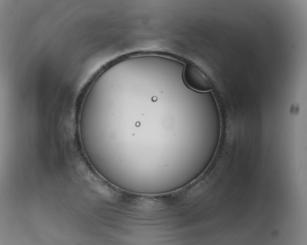 X0000111451270200907201040