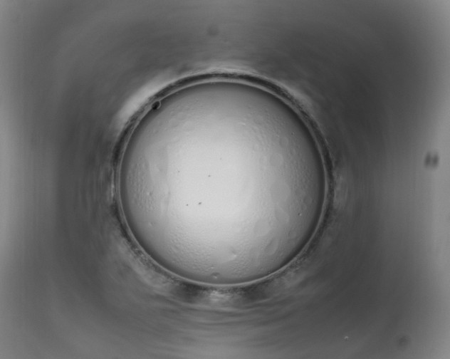 X0000111451271200907201040