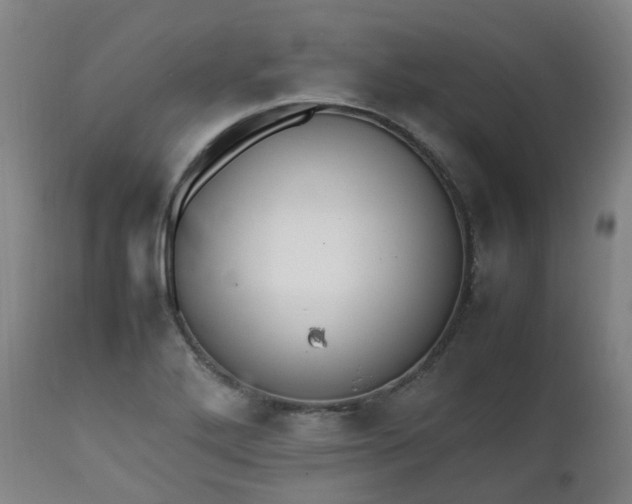 X0000111451272200907201040