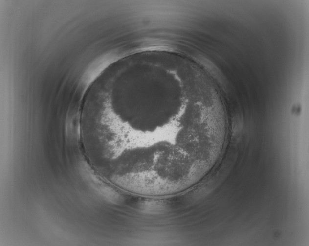 X0000111451274200907201040