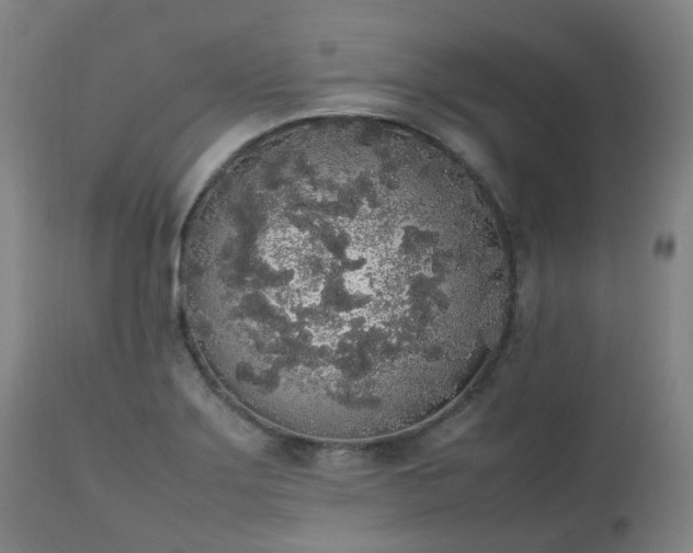 X0000111451275200907201040