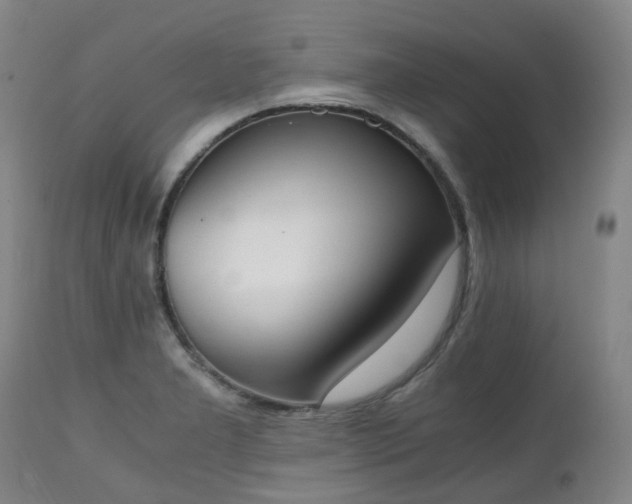 X0000111451277200907201040