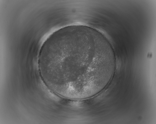 X0000111451278200907201040