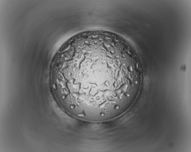 X0000111451279200907201040