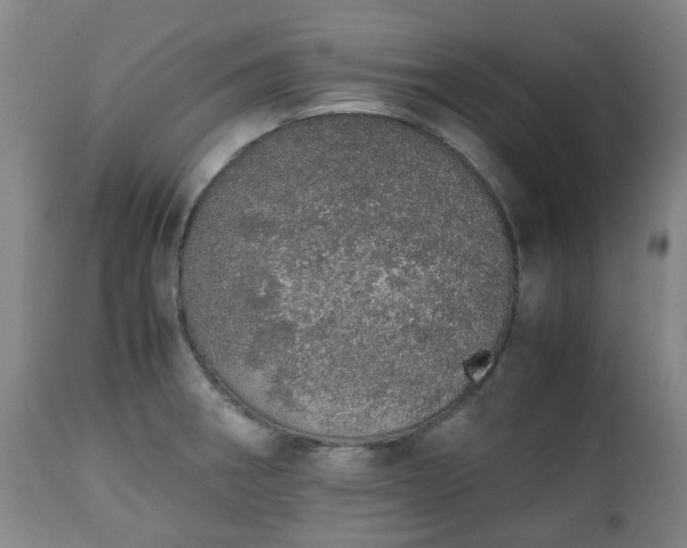 X0000111451282200907201040