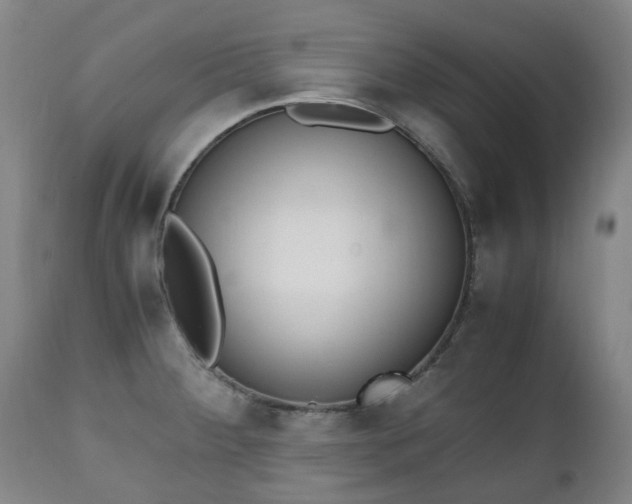X0000111451284200907201040