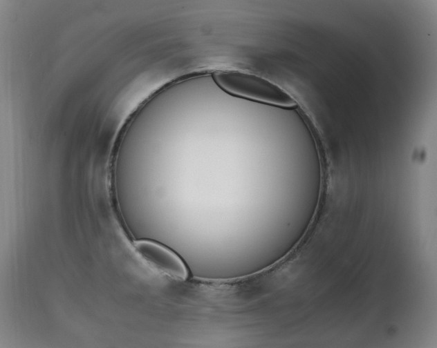 X0000111451285200907201040