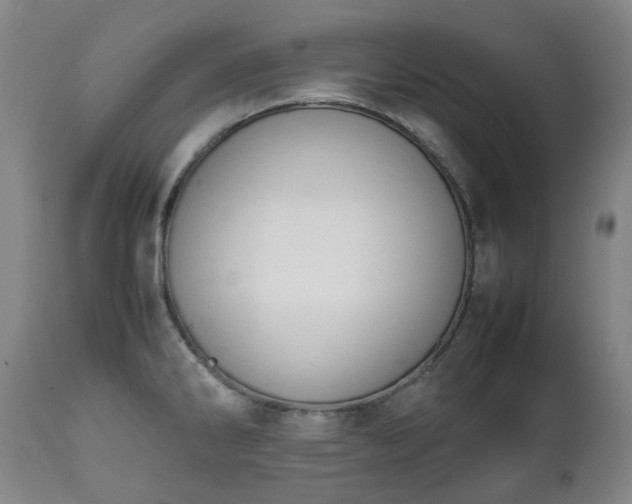 X0000111451286200907201040