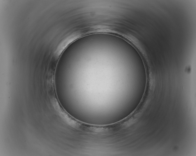 X0000111451289200907201039