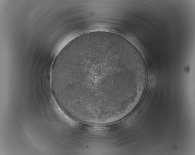 X0000111451290200907201039