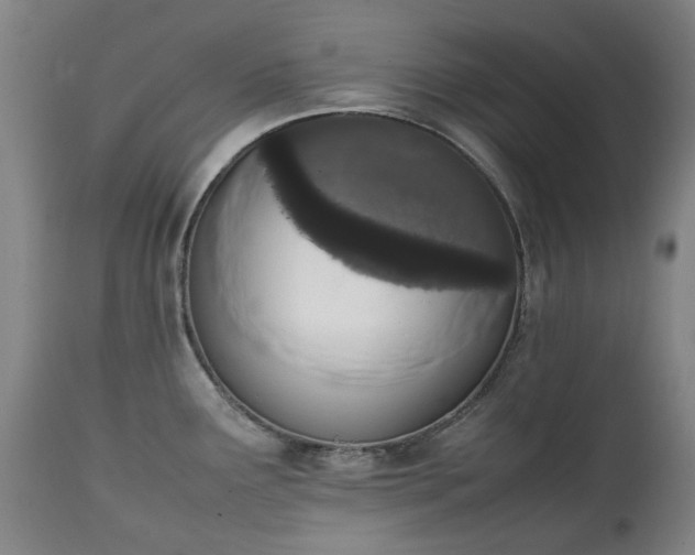 X0000111451291200907201039