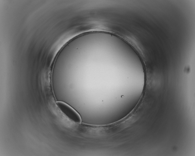 X0000111451292200907201039