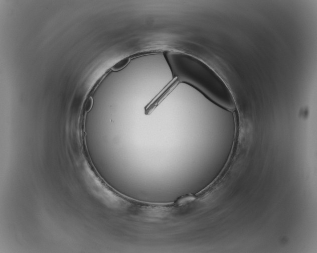 X0000111451293200907201039