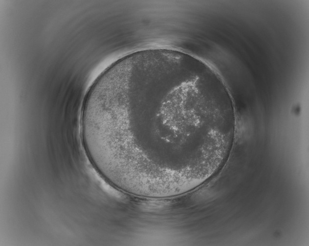 X0000111451294200907201039