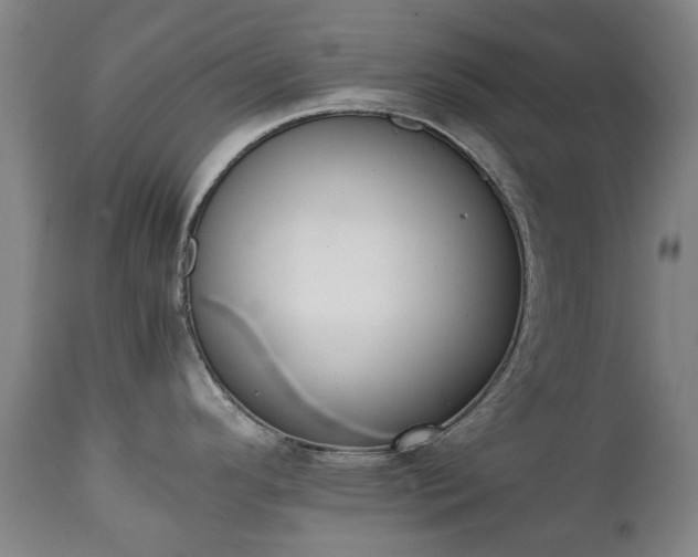 X0000111451296200907201039