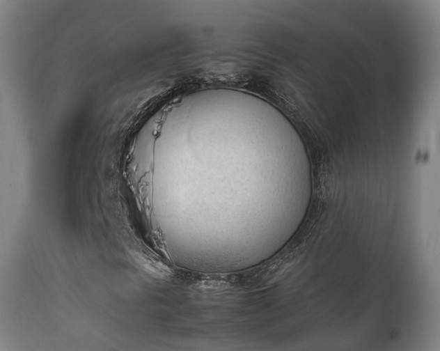 X0000111451297200907201039