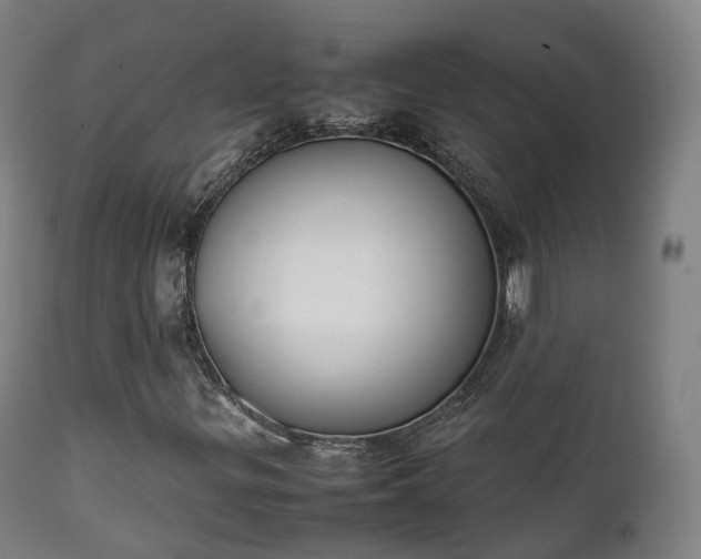 X0000111451299200907201039