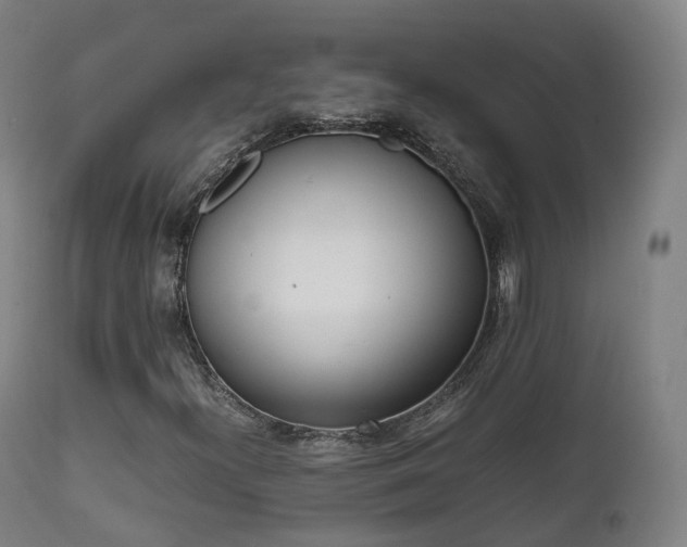X0000111451300200907201039