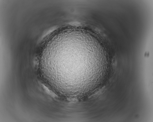 X0000111451302200907201039