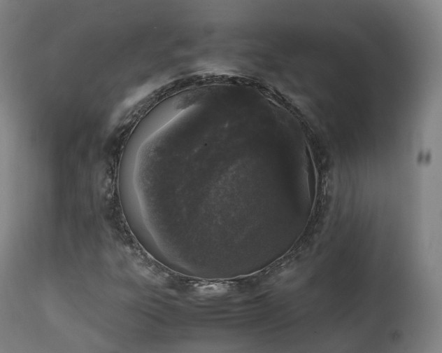 X0000111451303200907201039