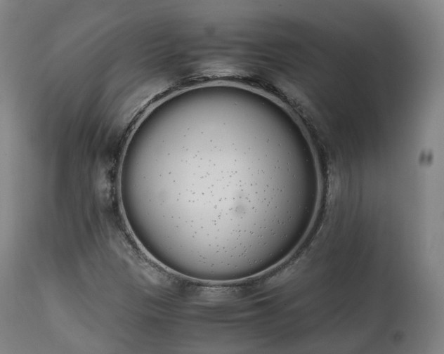 X0000111451305200907201039
