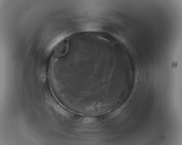 X0000111451306200907201039